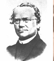1866 Gregor Mendel published The Theory of Heredity