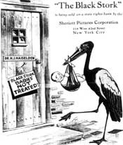 1917 Black Stork Movie