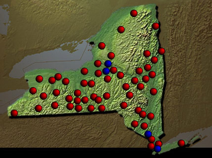 Development of New York State Institutions 1800 - 1850