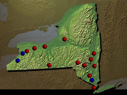 Development of New York State Institutions 1900 - 1950