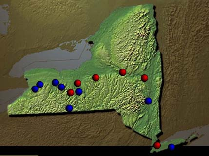 Development of New York State Institutions 1851 - 1899