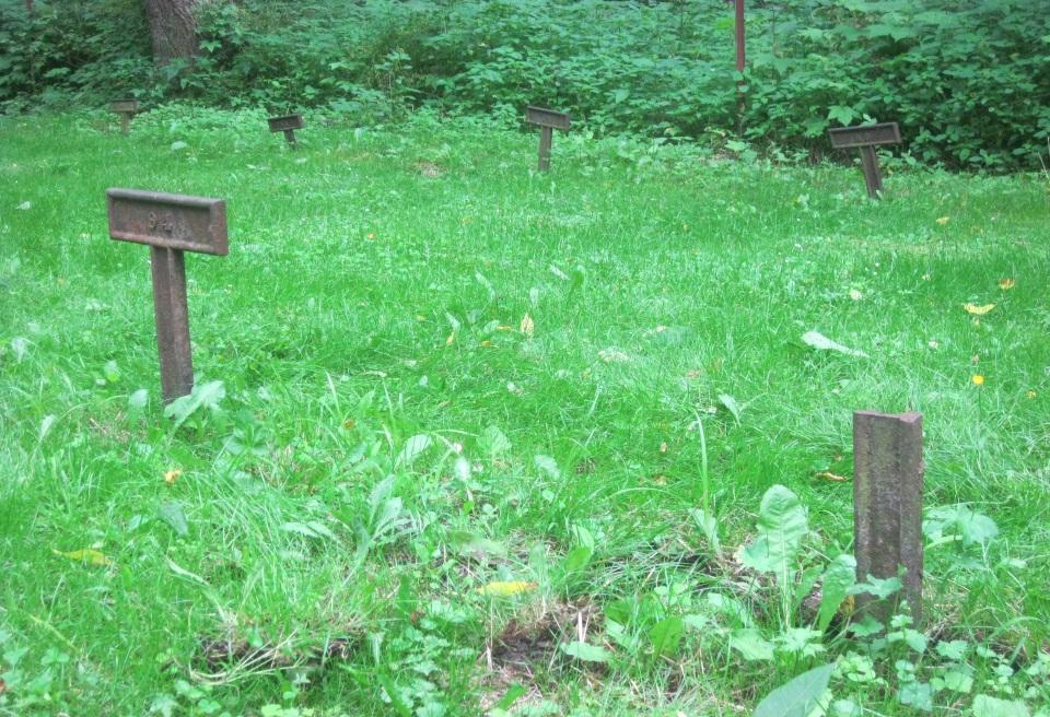 The Wheater Road Cemetery in Collins, NY.