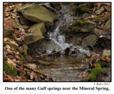 Feb. 2013 blog - Lockport Mineral Spring Mystery - 4