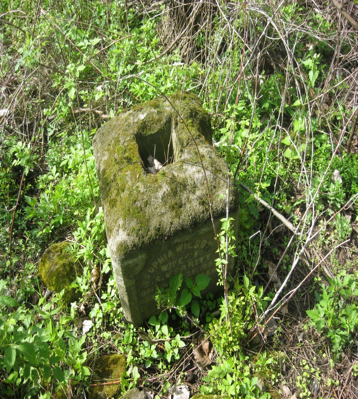 June 2012 blog - The Niagara County Almshouse Cemetery - 2