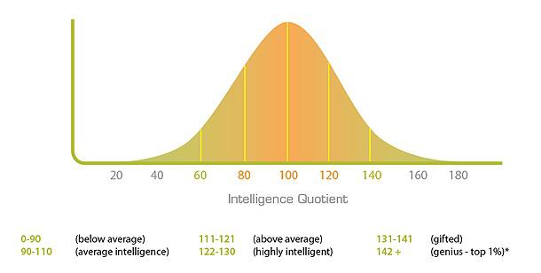 IQ Testing